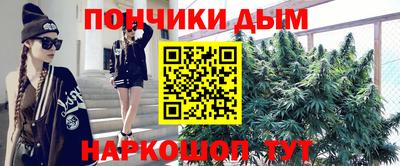 молекула духа Будённовск